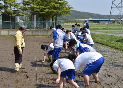 田植えに挑戦