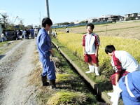石巻北高校との稲刈り実習