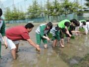 平成29年度　石巻北高等学校合同田植え実習